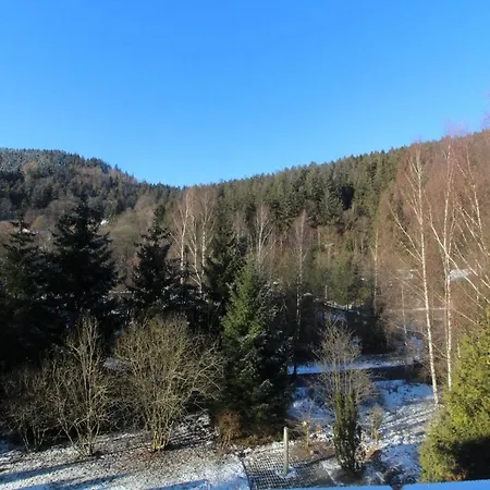 Home-Im-Harz Lautenthal Exterior photo