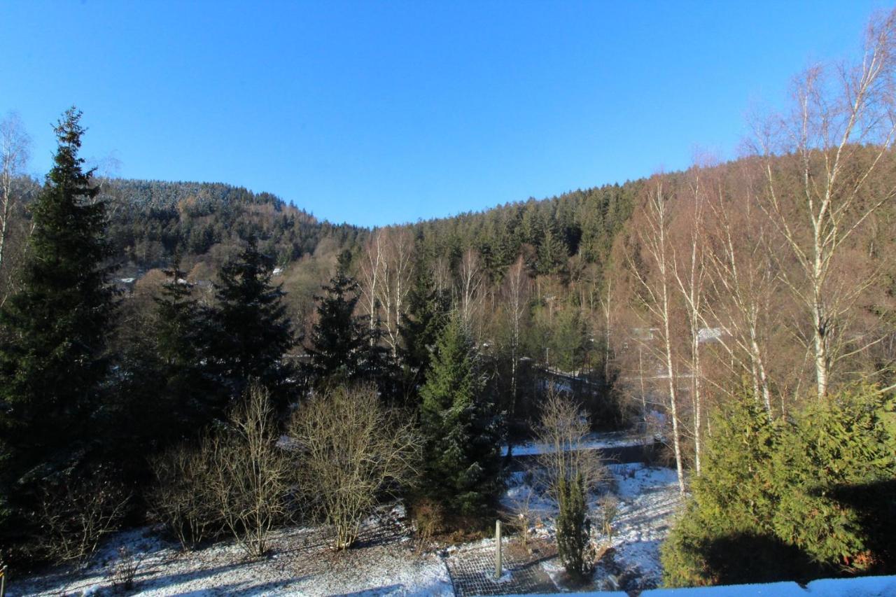 Apartment Home-im-harz Lautenthal